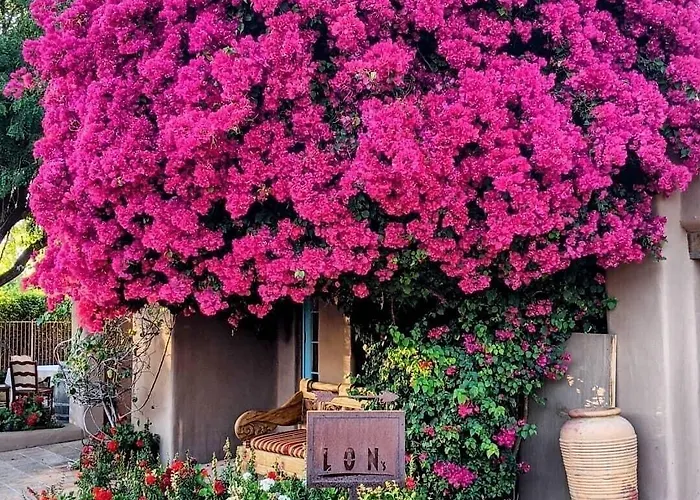 The Hermosa Hotel Phoenix